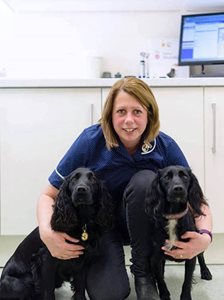 two dogs with a nurse